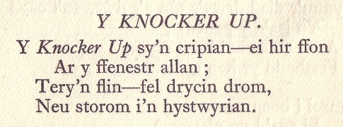 Y-knocker-up-bach.jpg