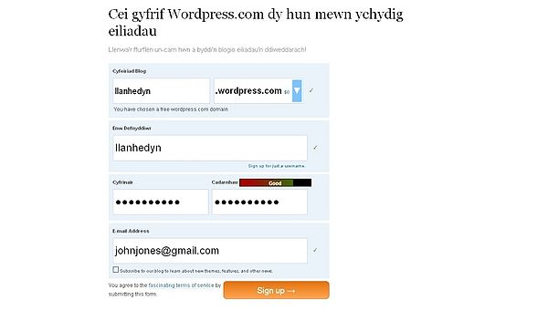 Wordpress-ffurflen.jpg