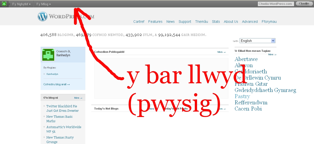 Bar-llwyd-pwysig.jpg
