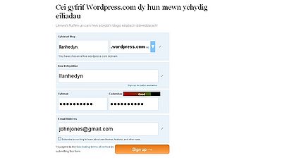 Wordpress-ffurflen.jpg